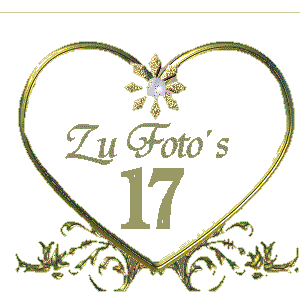 Zur 17.Fotoseite
