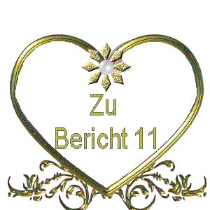 Zu Bericht 11