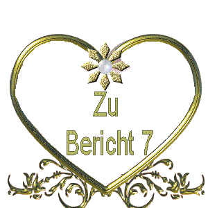 Zu Bericht 7