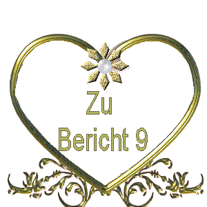 Zu Bericht 9