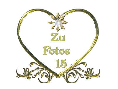 Hier kommst Du zur nchsten Fotoseite.